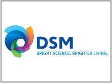 DSM